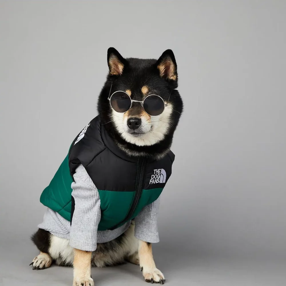 The Dog Face Sleeveless Puffer Designer Dog Jacket - Green