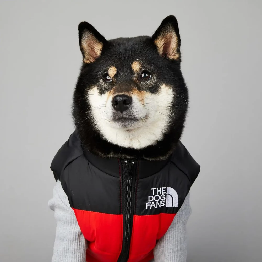 The Dog Face Sleeveless Puffer Designer Dog Jacket - Red