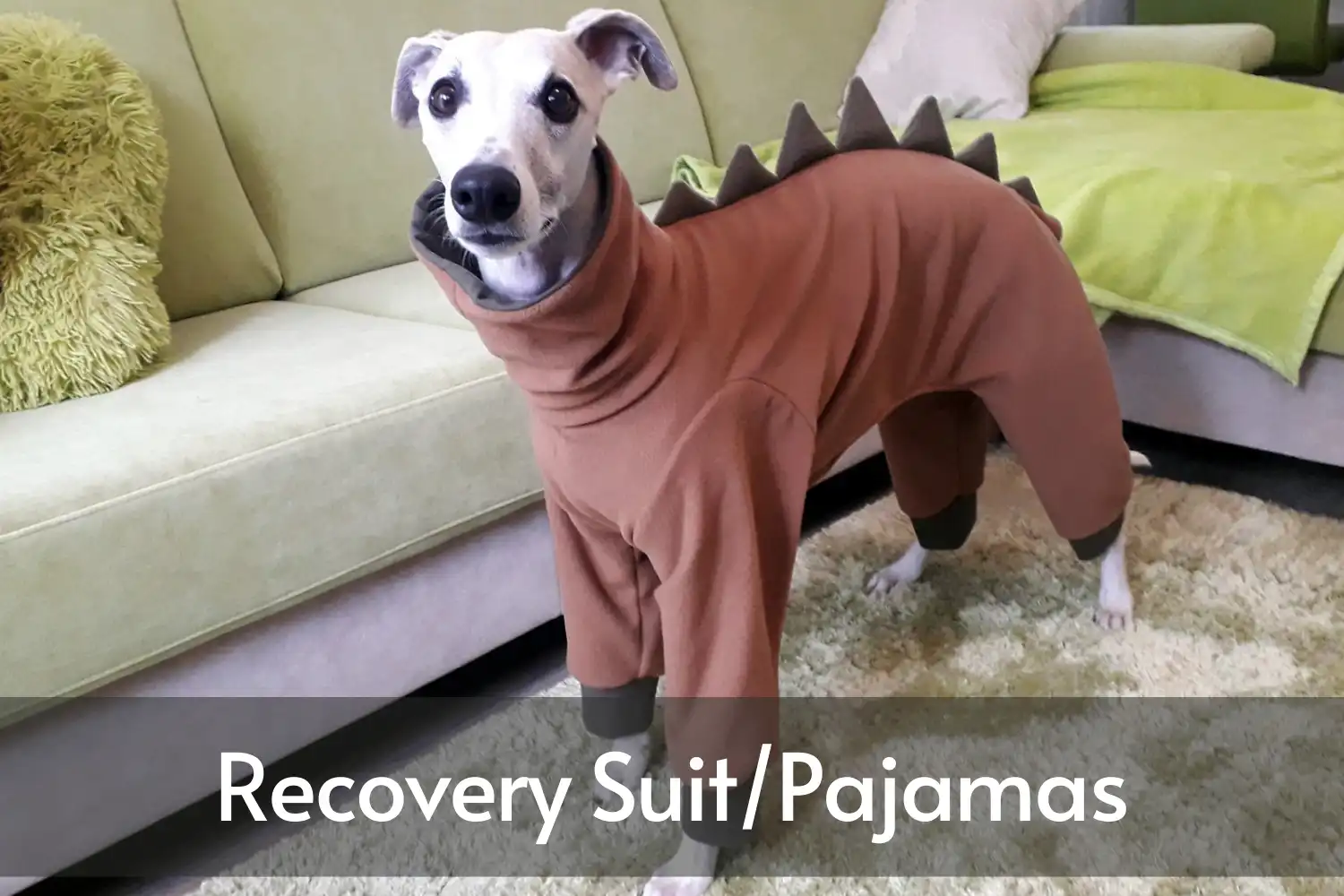 How Long Does Dog Wear Cone after Neuter? - Alternatives to the plastic cone - Recovery Suit/Pajamas