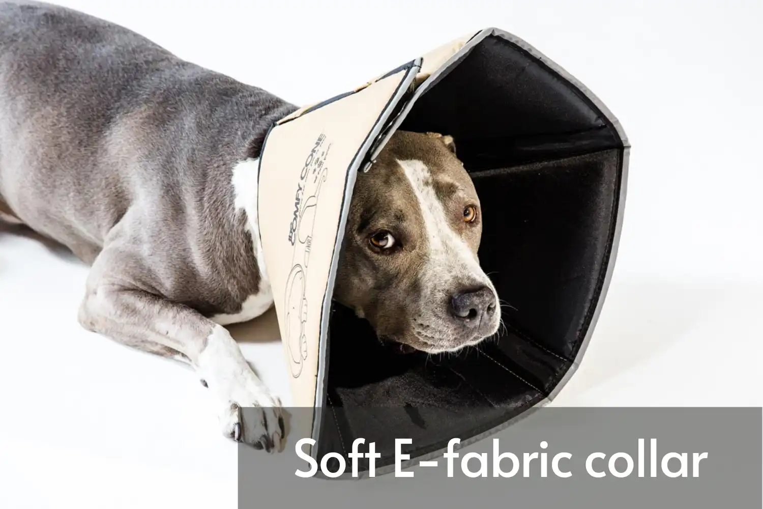 How Long Does Dog Wear Cone after Neuter? - Alternatives to the plastic cone - Soft E-fabric collar