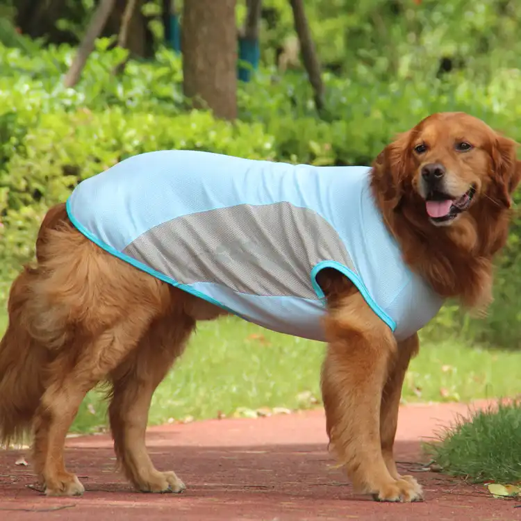 Cooling Shirt for Dogs, Breathable Sun Protection Shirt - Blue