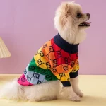 Designer Gucci Dog Sweater Luxury Sweater for Dogs