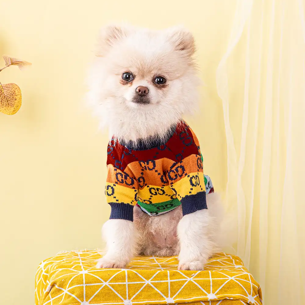 Interlocking G Mohair Blend Dog Sweater in Multicoloured - Gucci