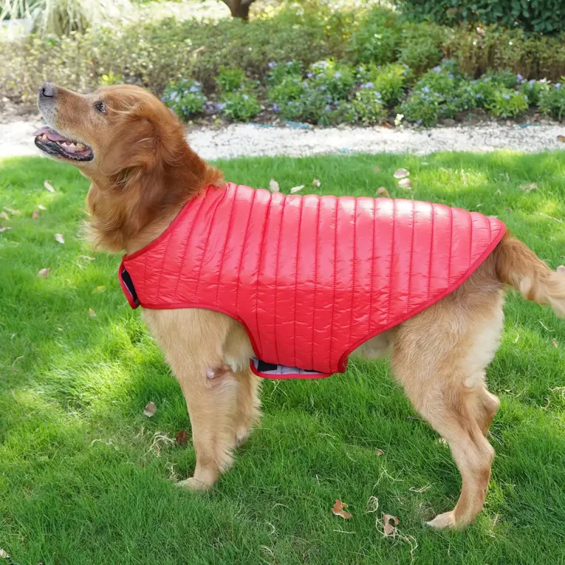 Dog Puffer Coat, Reversible Wear Padded Dog Coat - Red