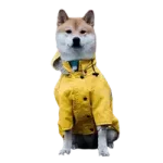 Wholesale Dog Raincoat - Category