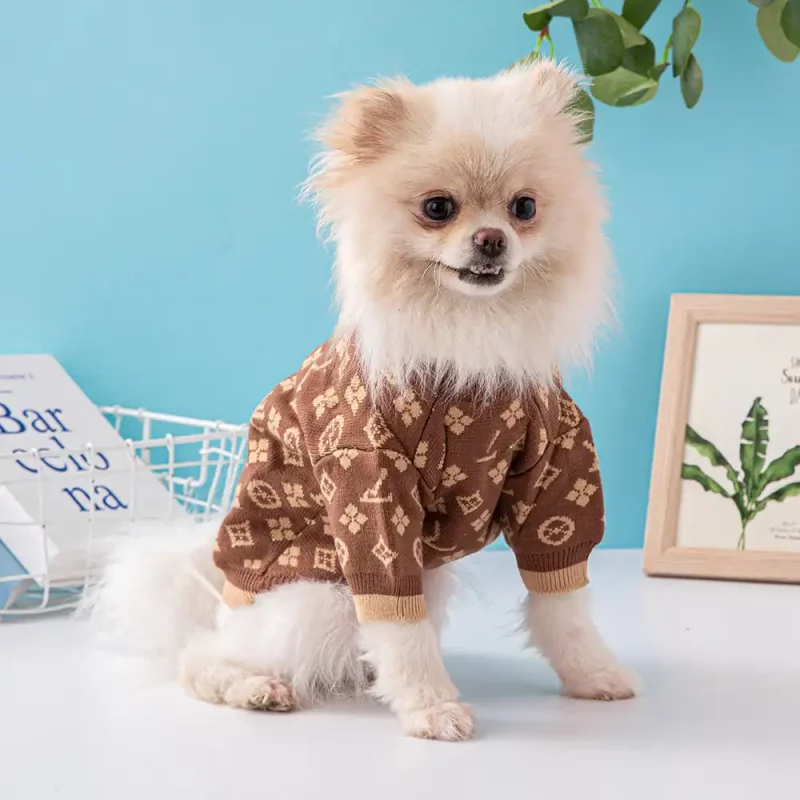 Caroline Windswept elektrode Louis Vuitton Dog Sweater | Luxury Dog Clothes