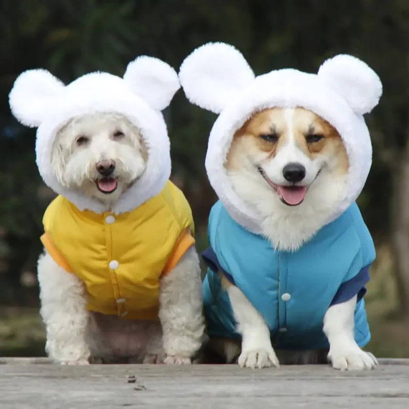 Dog Moisture-proof Coat for Snow Days, Corgi, Pitbull