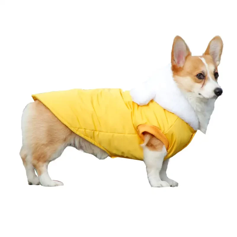 Dog Moisture-proof Coat for Snow Days, Corgi, Pitbull - Yellow