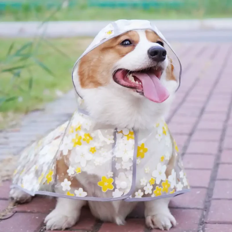 Sakura Transparent Poncho Raincoat for Dogs - Yellow