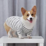 Stripes Dog T-shirts Breathable Striped T-shirts for Dogs - White
