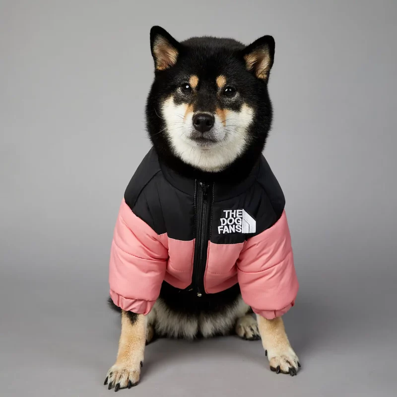 The Dog Face Puffer Jacket Designer Dog Outfits