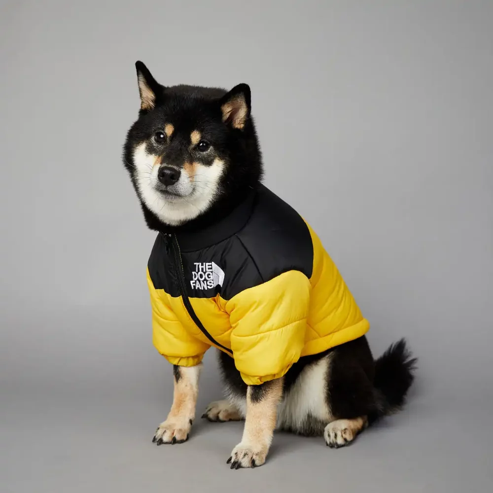 The Dog Face Puffer Jacket Designer Dog Outfits
