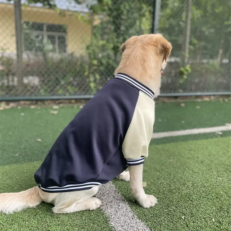Varsity Dog Jacket Baseball Jacket for Dogs
