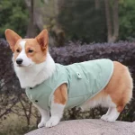 Waterproof Winter Jacket for Dogs Warm Dog Windproof Vest
