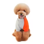 Color Block Sweater for Small Dogs - Grey Orange