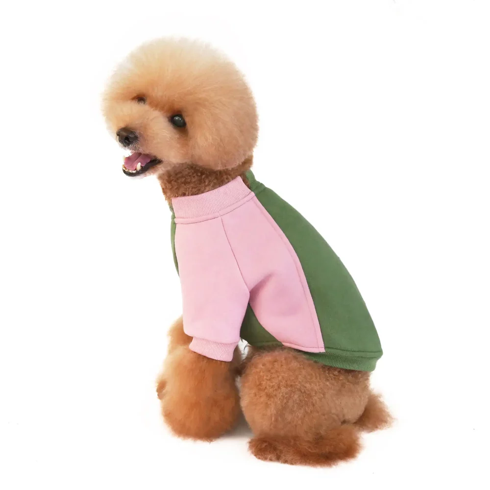 Color Block Sweater for Small Dogs - Pink Green
