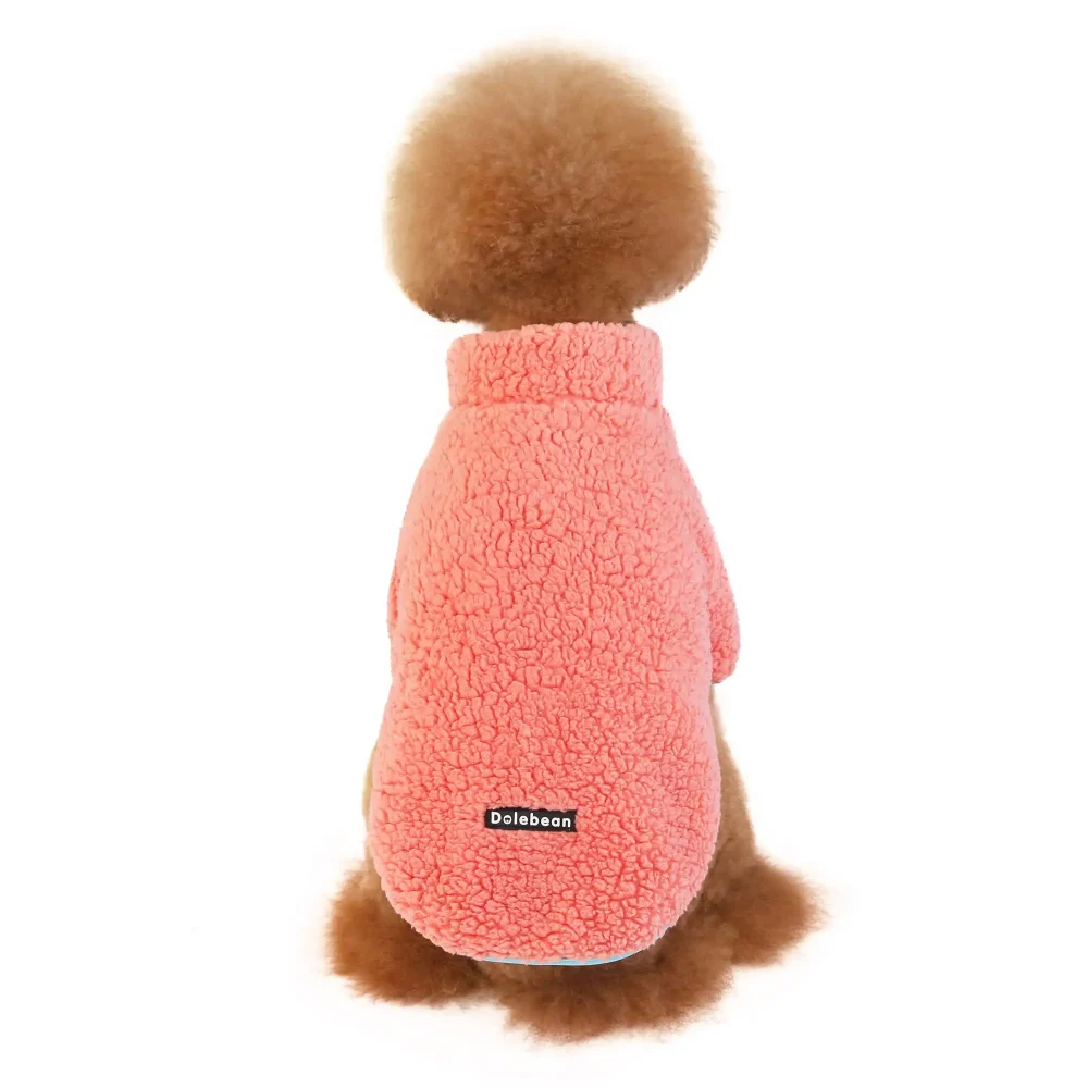 Coral Fleece Winter Coat for Dogs - Orange