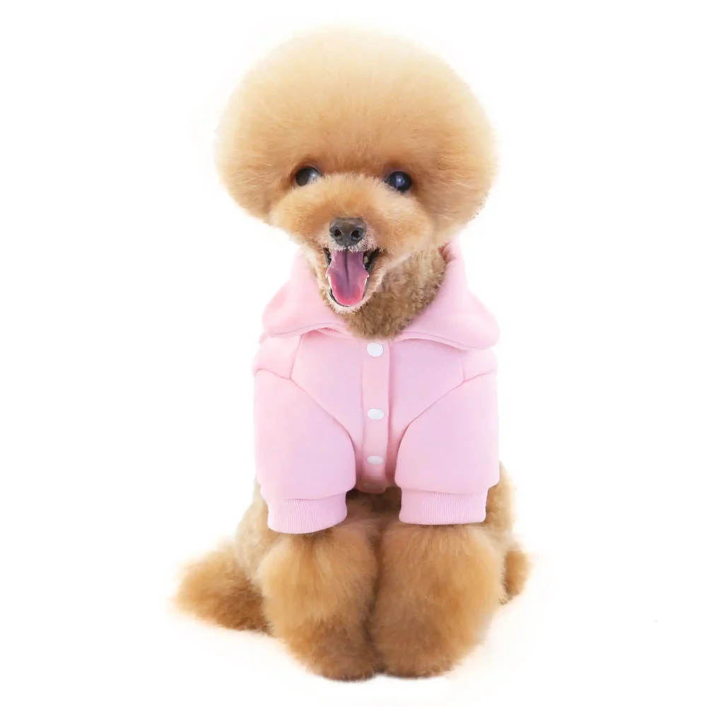 Daisy Pullover Sweatshirt for Puppies - Pink