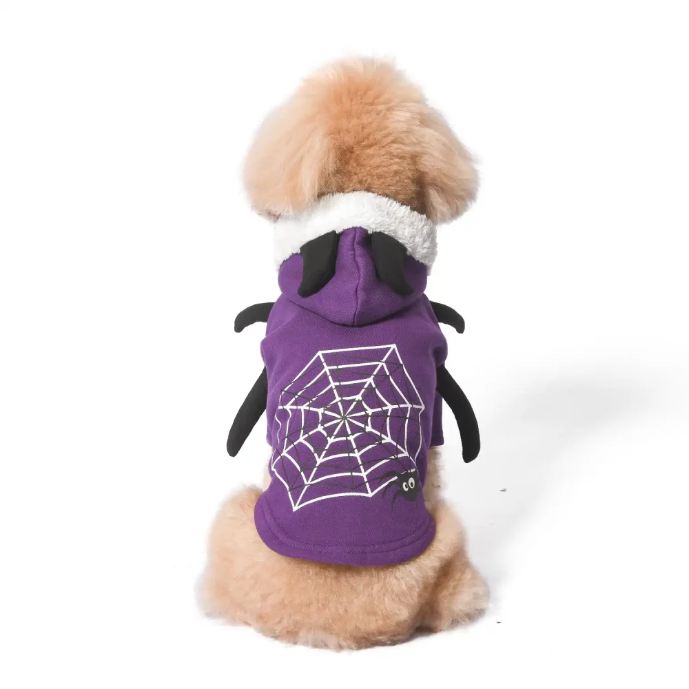 Dog Halloween Spider Costume - Purple