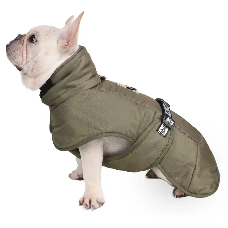 Dog Reflective Winter Jacket, Windproof Waterproof - Army green