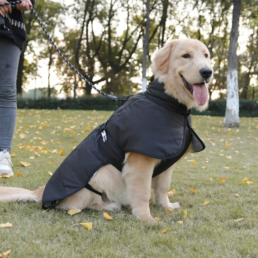 Dog Reflective Winter Jacket, Windproof Waterproof - Black