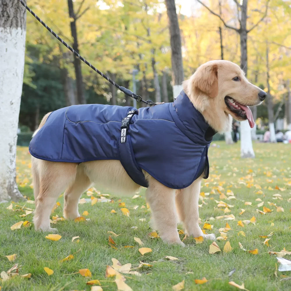 Dog Reflective Winter Jacket, Windproof Waterproof - Navy