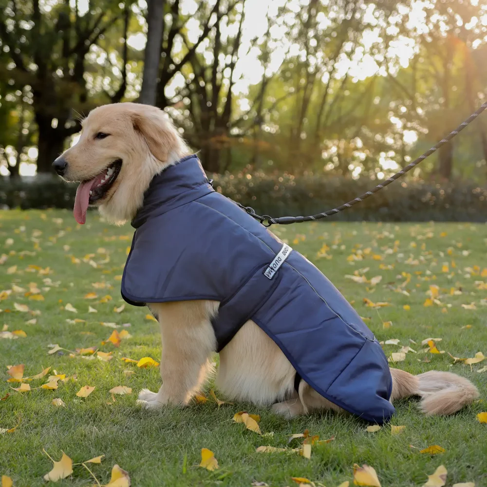 Dog Reflective Winter Jacket, Windproof Waterproof - Navy