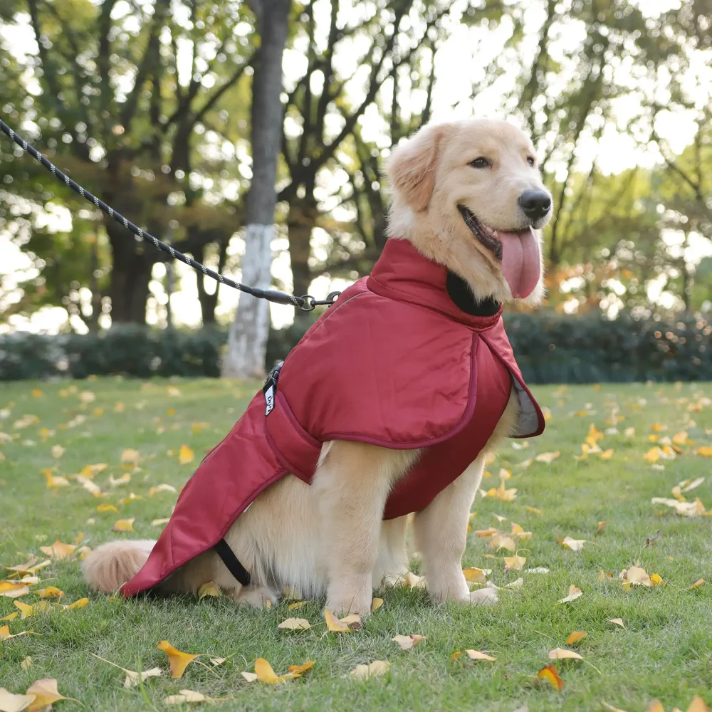Dog Reflective Winter Jacket, Windproof Waterproof - Red
