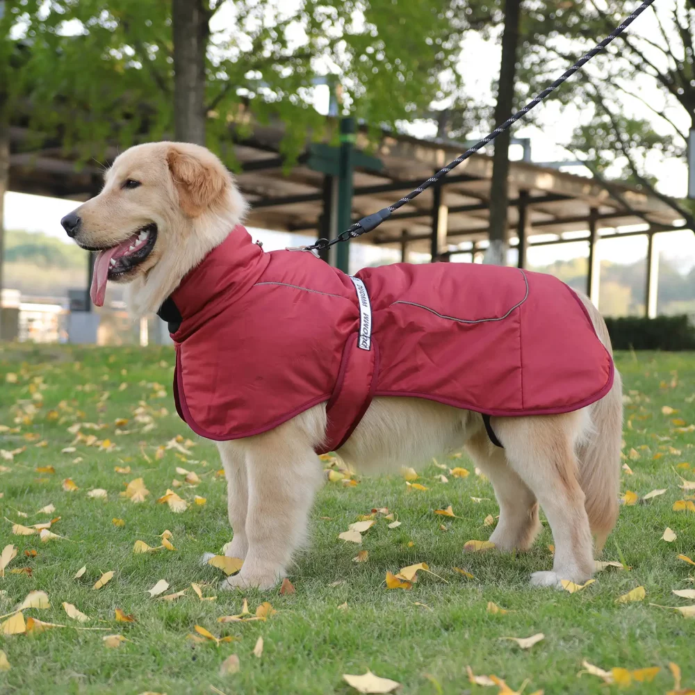 Dog Reflective Winter Jacket, Windproof Waterproof - Red