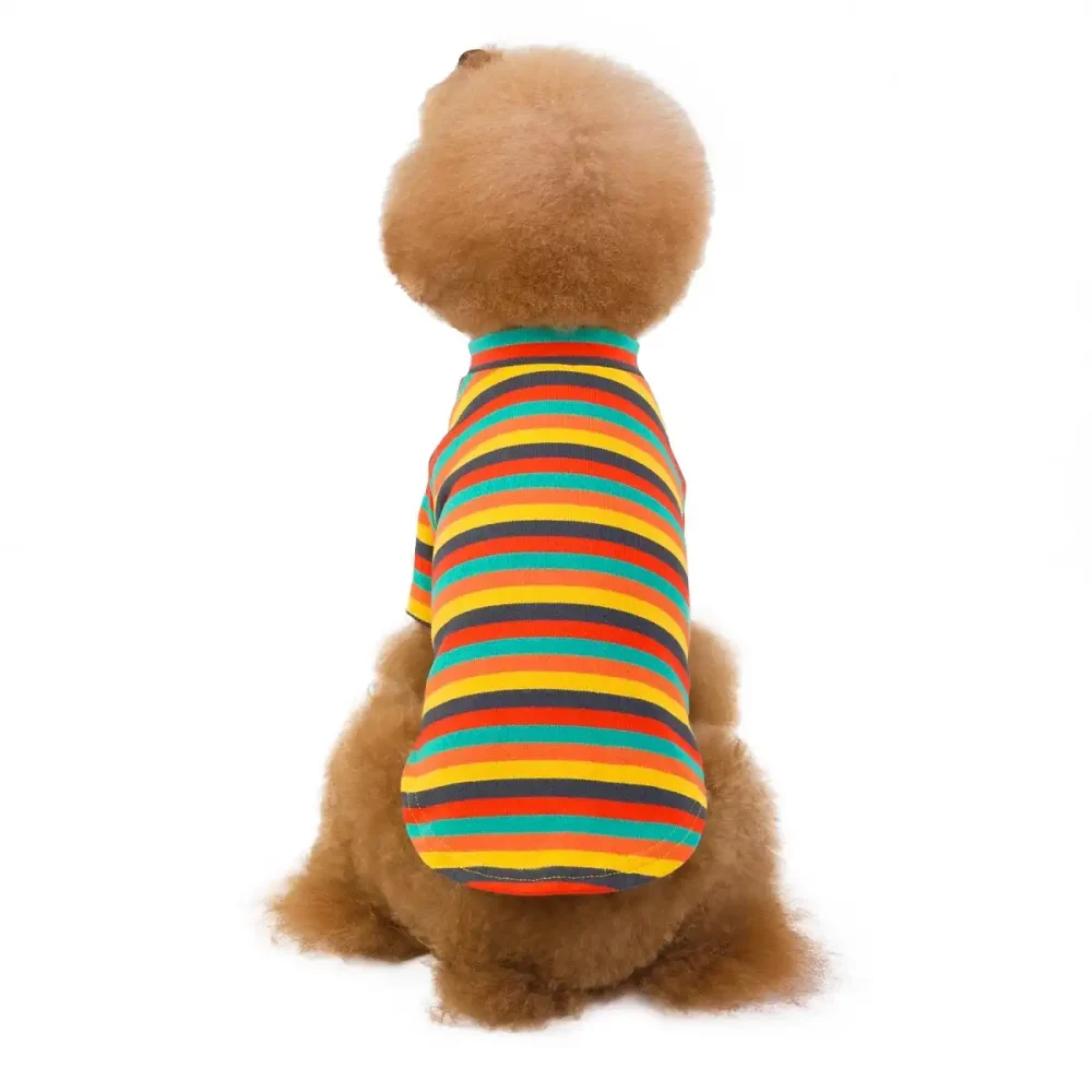 Dog Striped Knitted Base Layer T-shirt - Orange