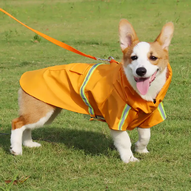Outdoor Reflective Rain Poncho for Dogs - Orange