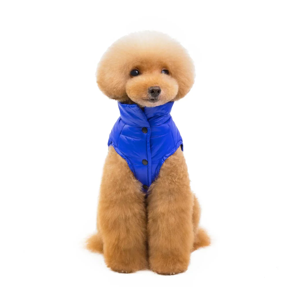 Puffer Jacket for Small Dogs - Blue