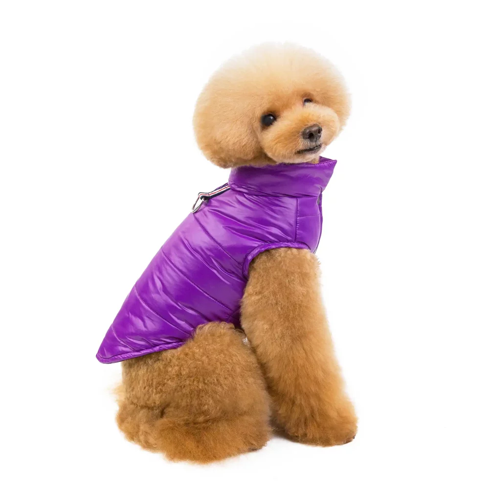 Puffer Jacket for Small Dogs - Purple