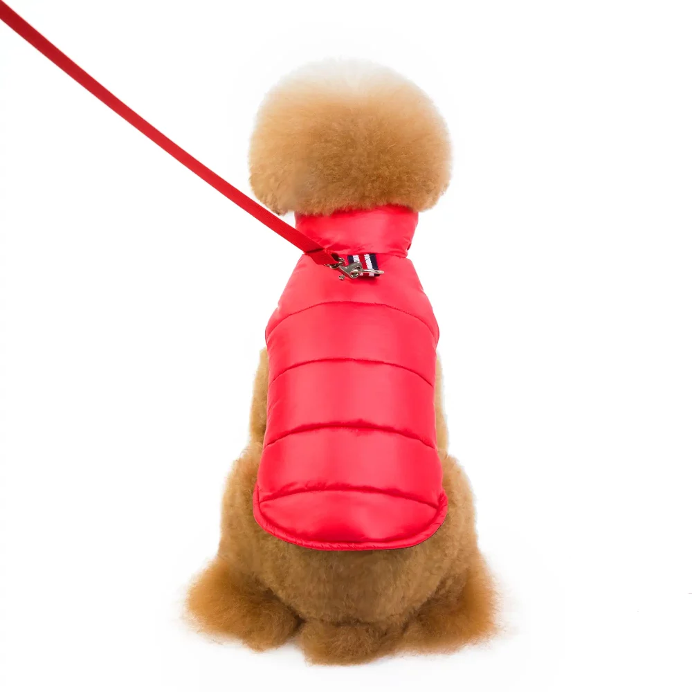 Puffer Jacket for Small Dogs - Red