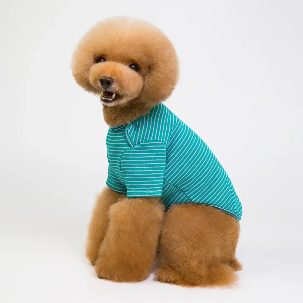 Pure Cotton Striped T-shirt for Dogs - Green