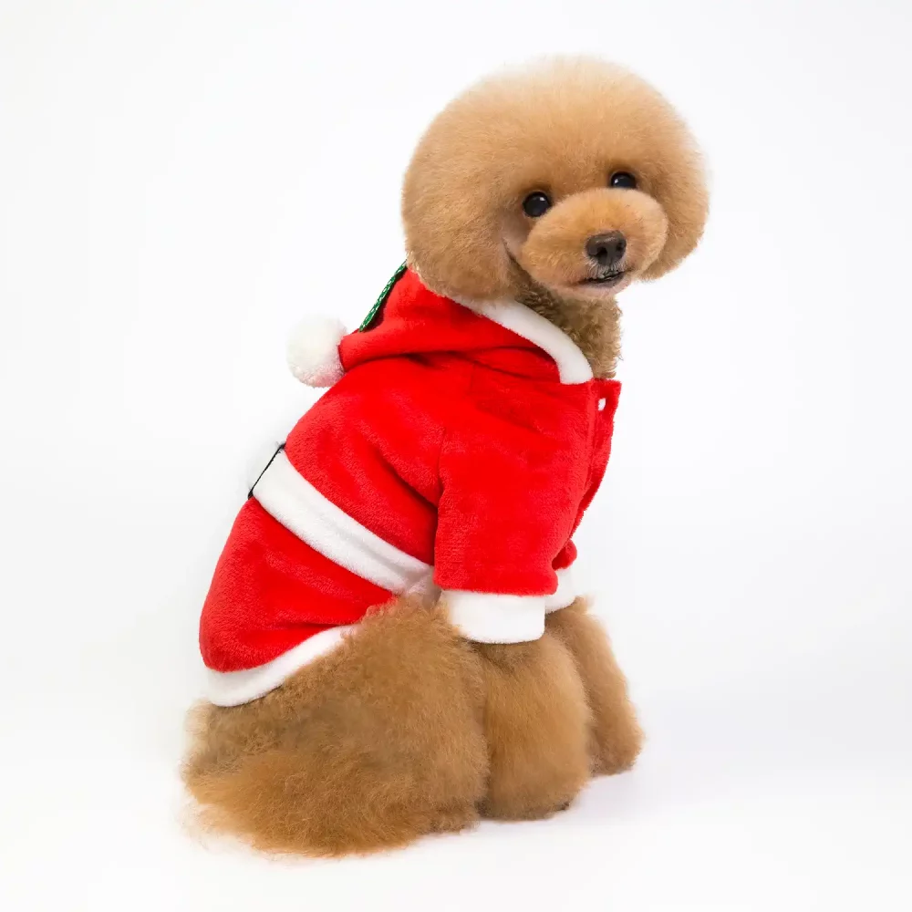 Santa Costume for Small Dogs