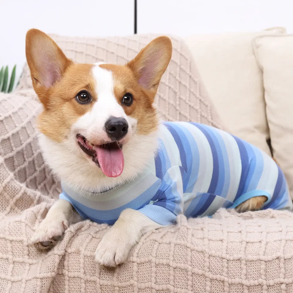 Striped Onesie Pajama for Small Dogs - Blue