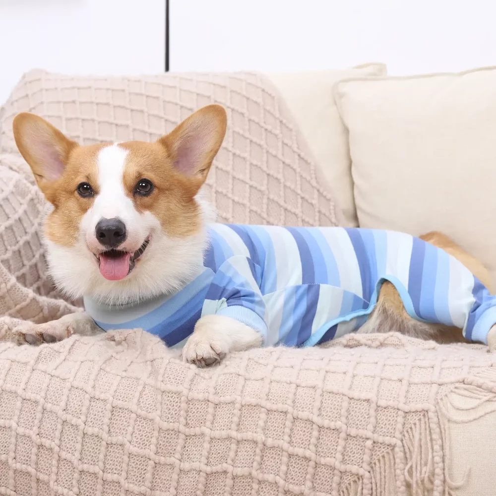 Striped Onesie Pajama for Small Dogs - Blue