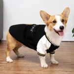 Varsity Jacket for Dogs - Black