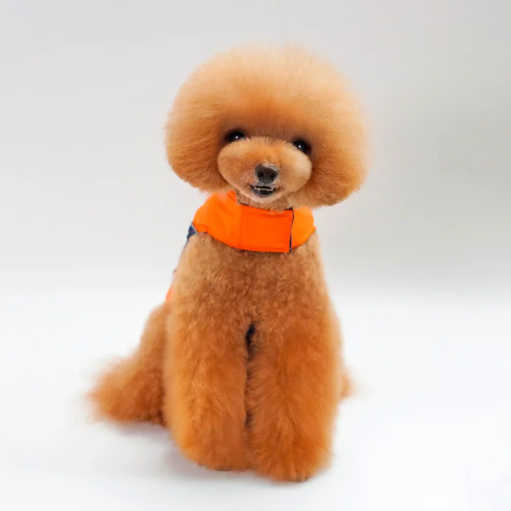 Velcro Windproof Jacket for Dogs - Orange