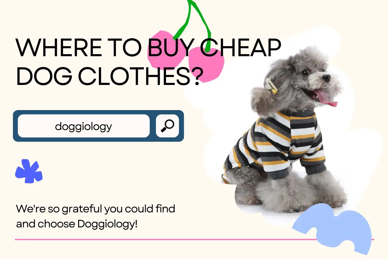 Where to Buy Cheap Dog Clothes?