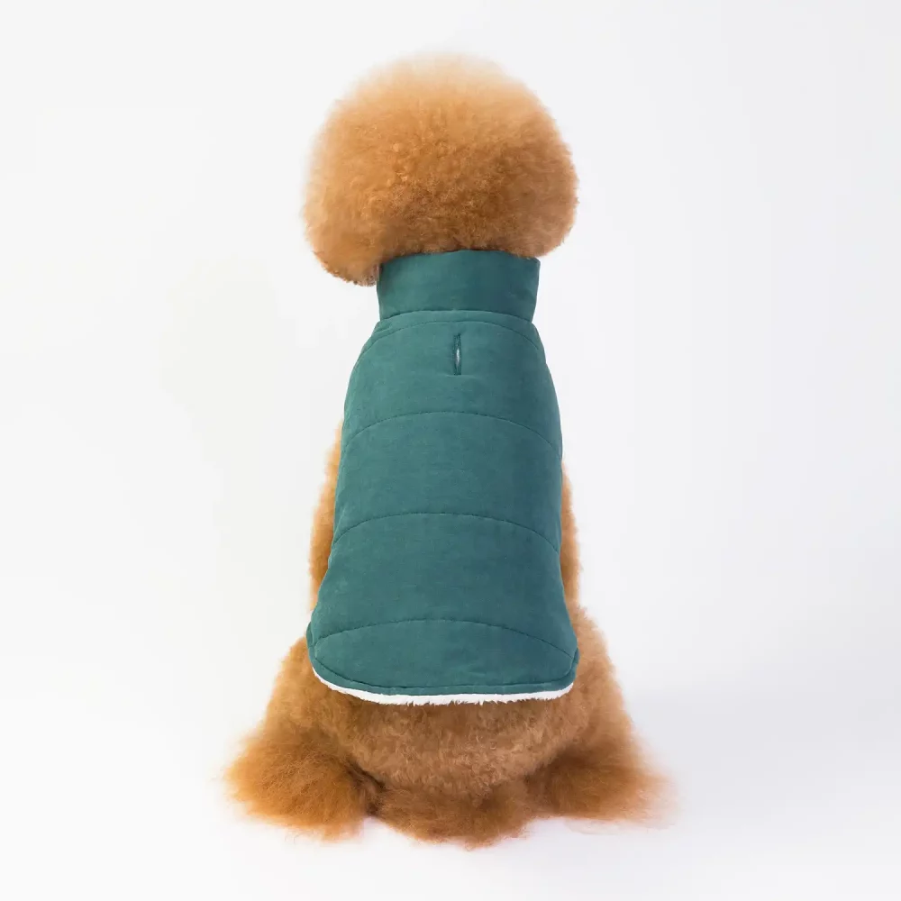 Winter Jacket Vest for Dogs - Green