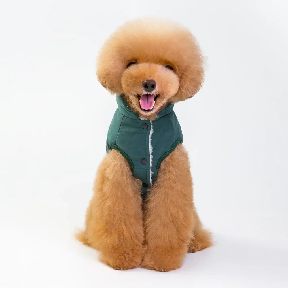 Winter Jacket Vest for Dogs - Green