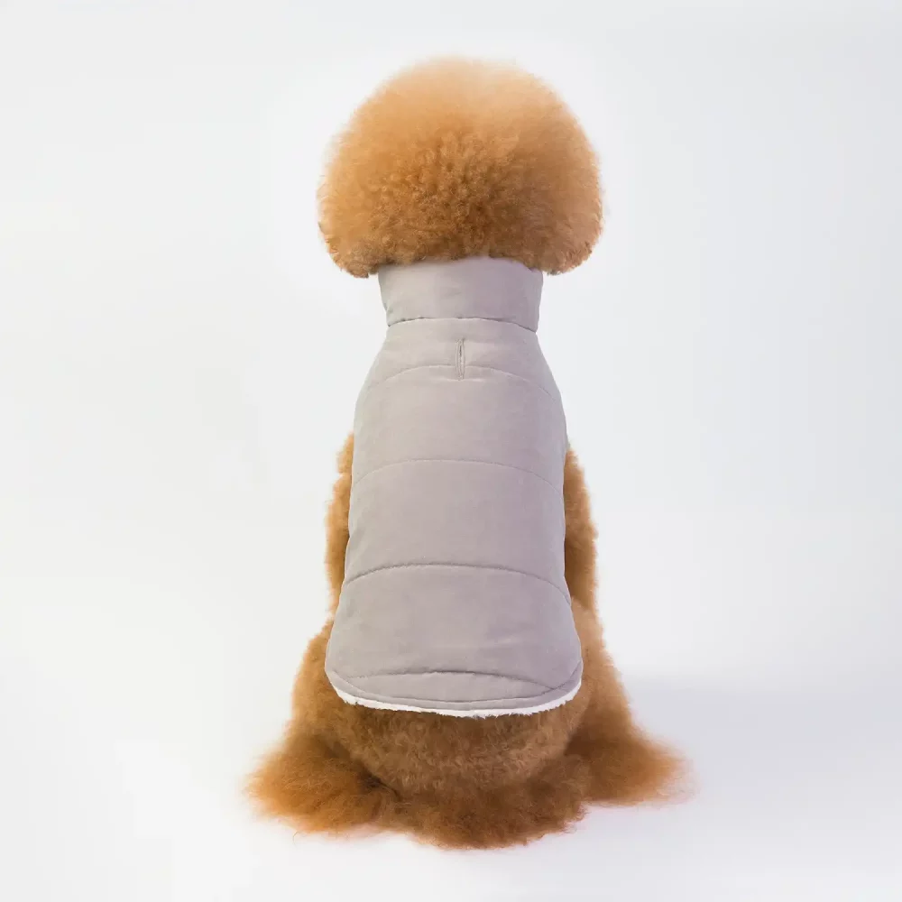 Winter Jacket Vest for Dogs - Grey