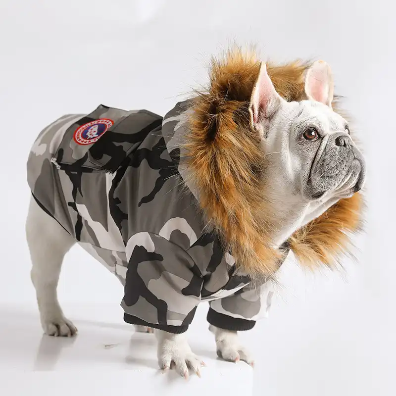 Canada Goose-Inspired Down Parka for Small Dogs - Down