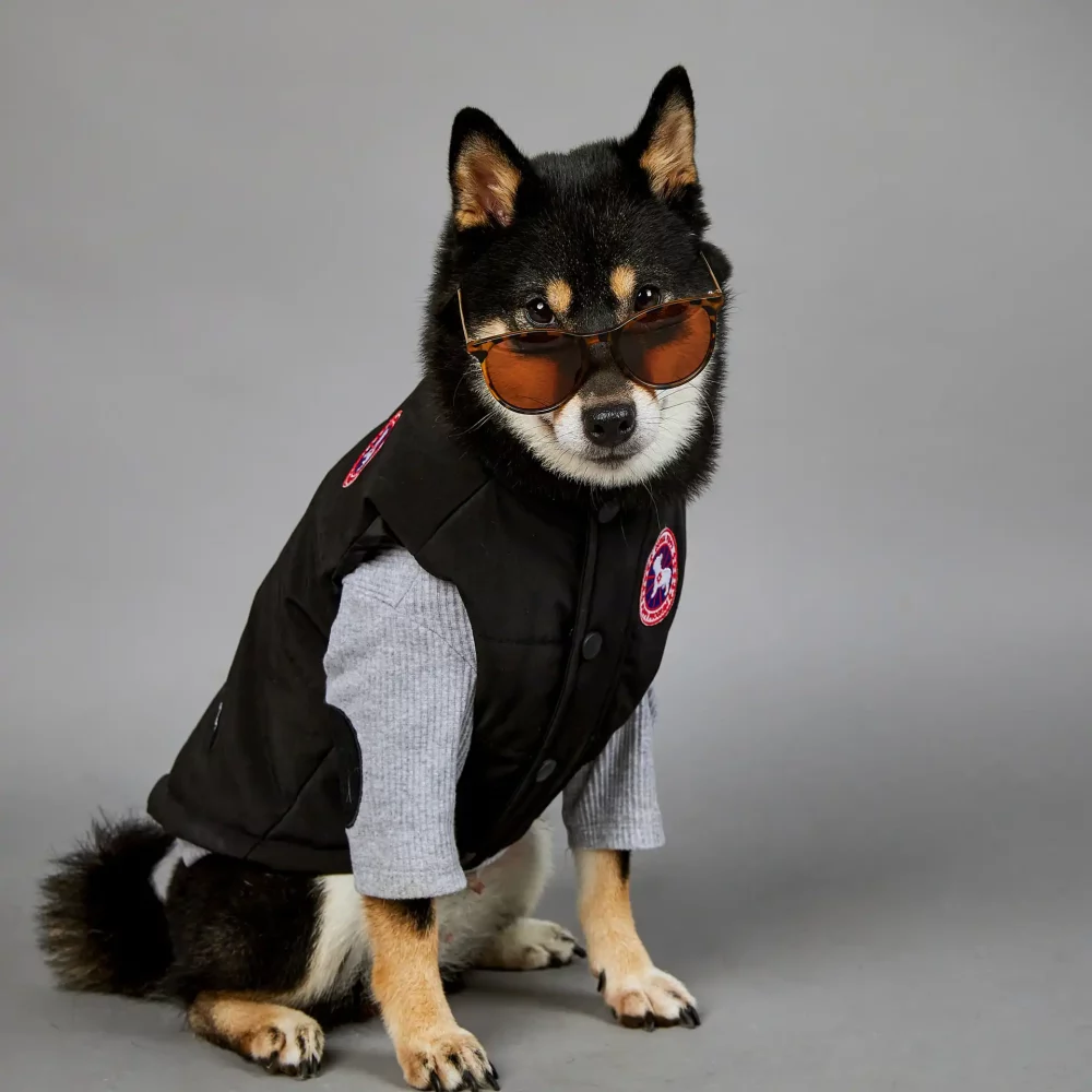 Canada Goose Sleeveless Jackets for Dogs