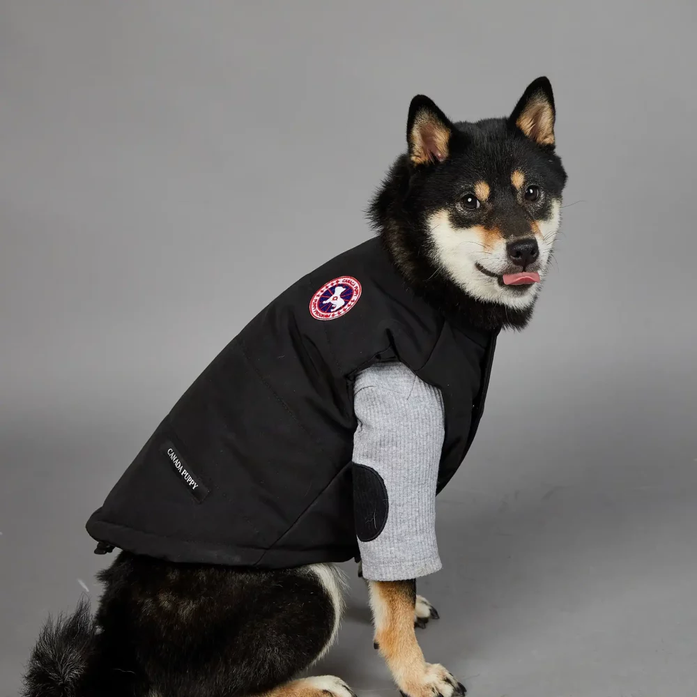 Canada Goose Sleeveless Jackets for Dogs