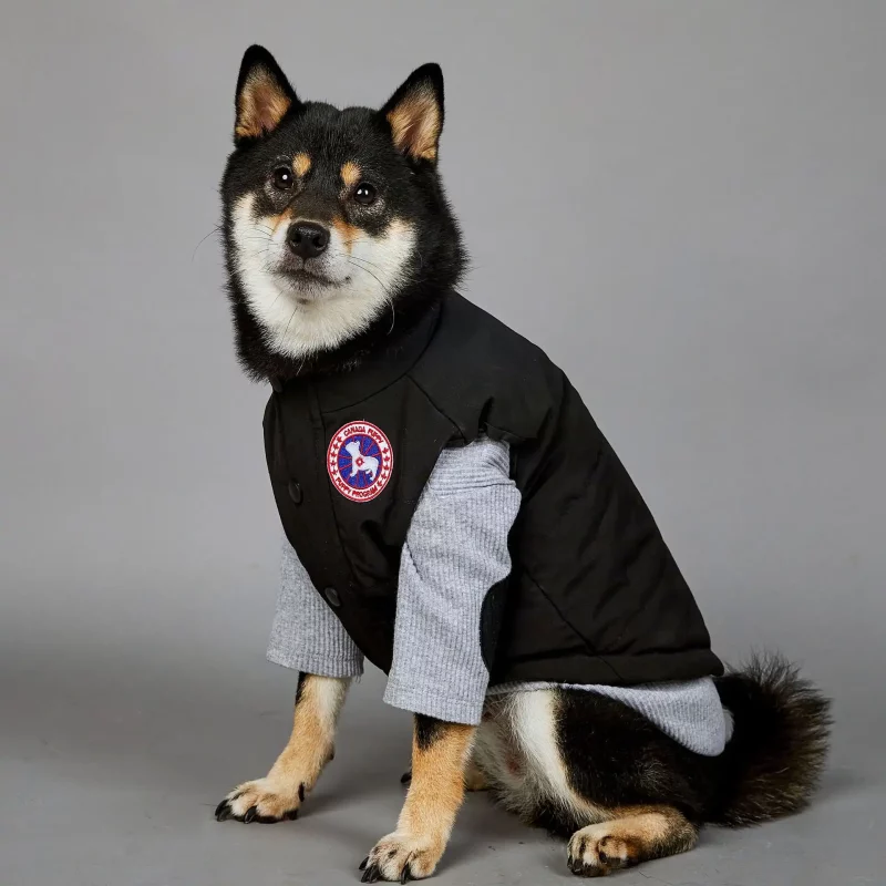 Pawcci Designer Dog Hoodie Jacket - 2XL - 3XL - 5XL – WHISPERS GIFTS