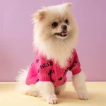 Designer BALENCIAGA Sweaters for Dogs