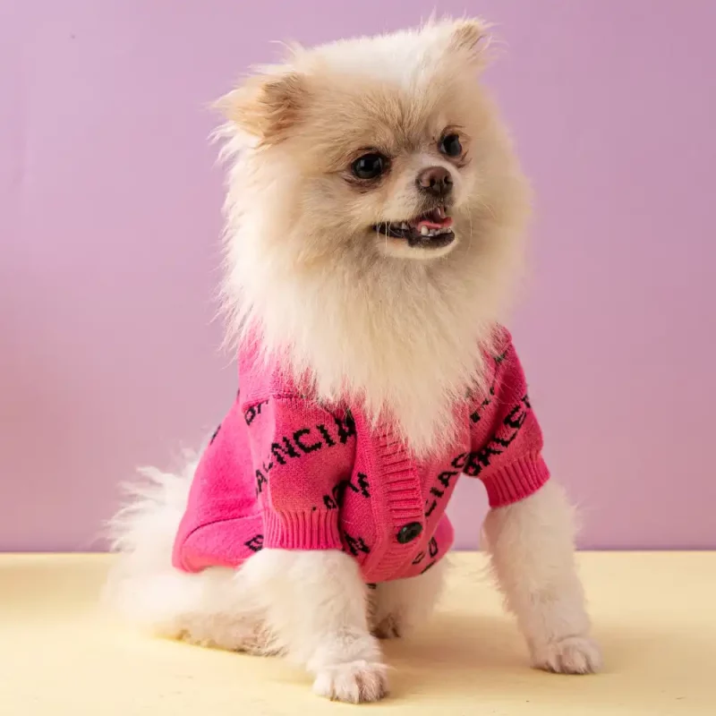 Designer BALENCIAGA Sweaters for Dogs